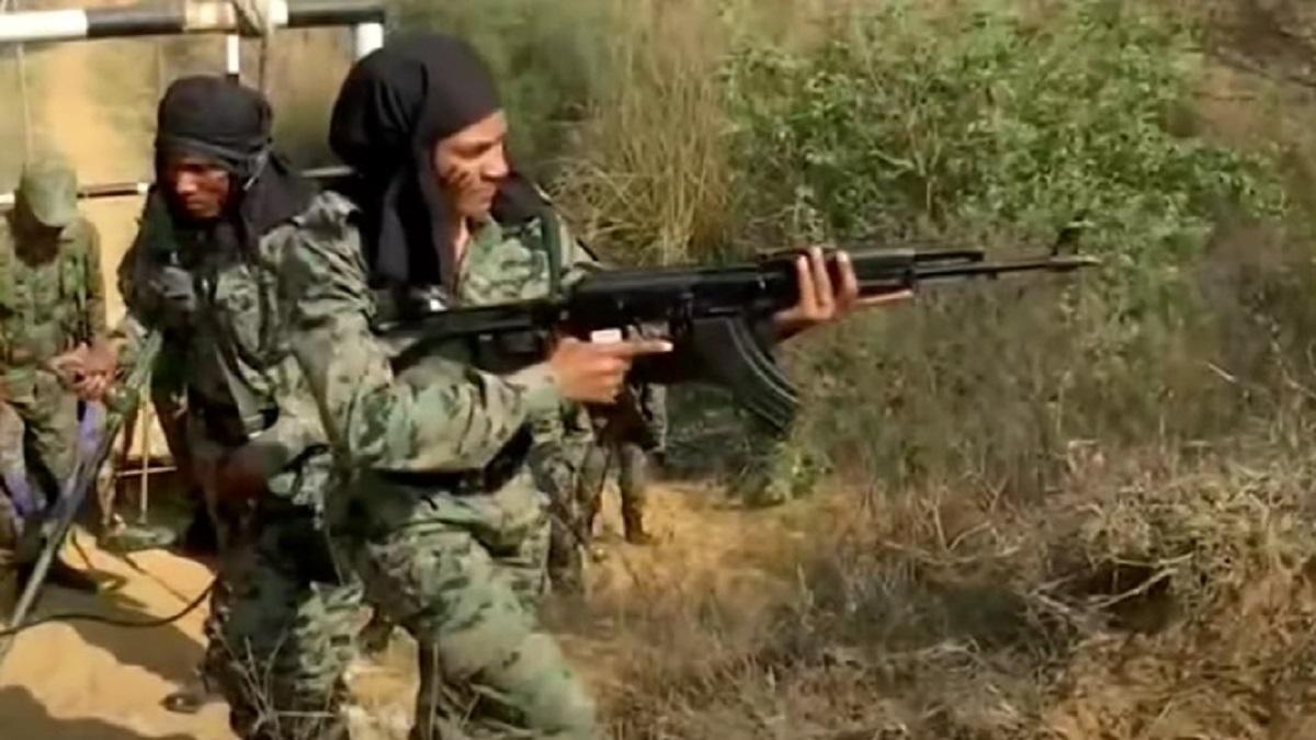 Queen CoBRA Commondo 