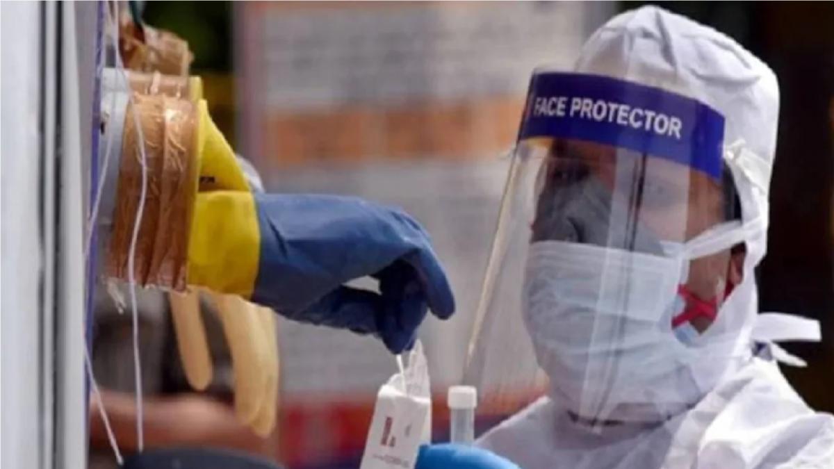 Corona cases in Maharashtra