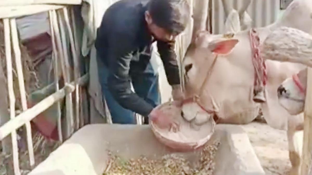 More than 3 lakh teachers posts vacant in Bihar 