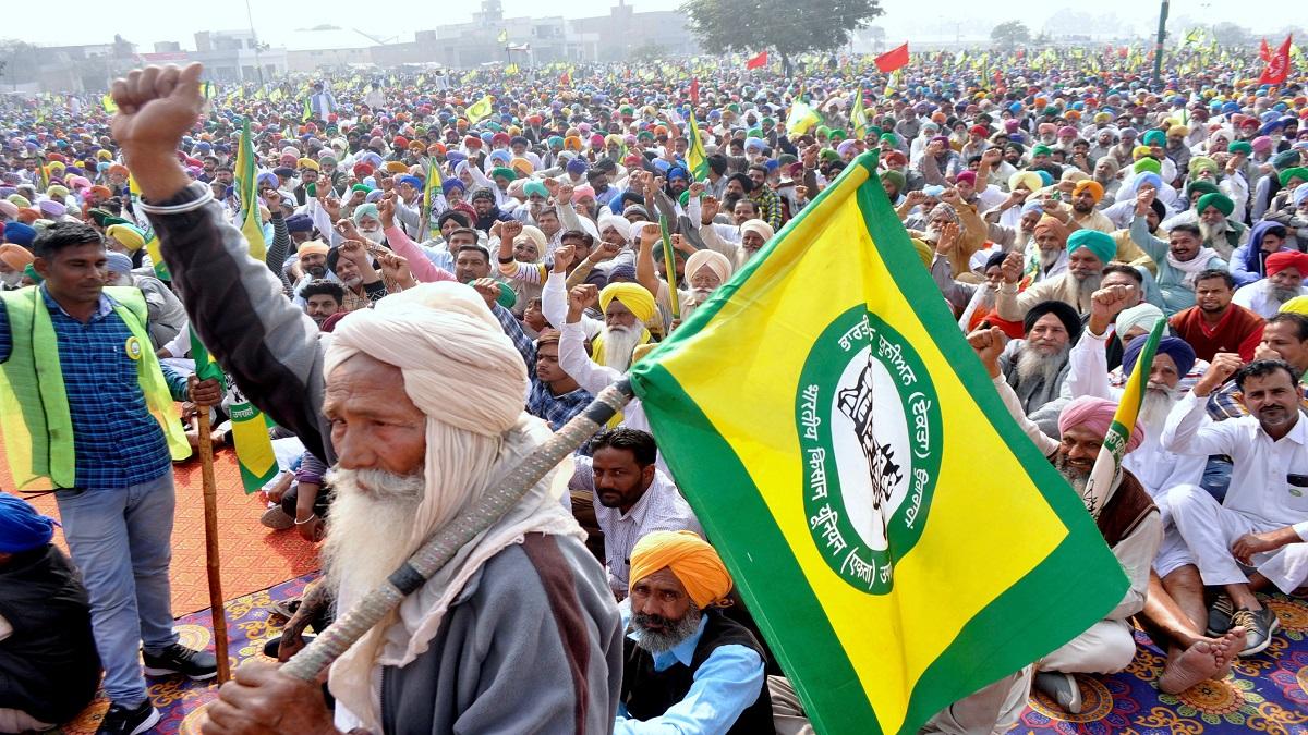 Farmers ongoing protest against New Farm Laws (Photo-PTI)