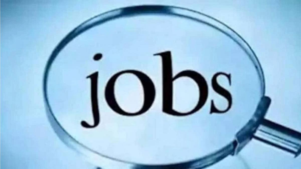 Employment News (File- Representative)