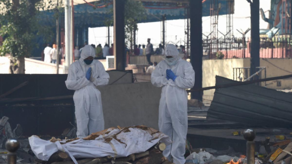 crematorium ground report