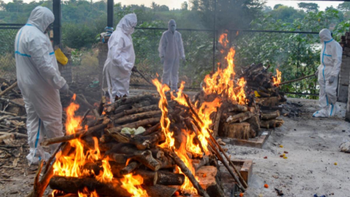 Maharashtra corona death