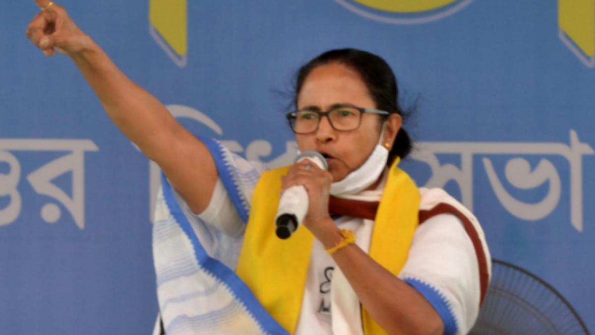 CM Mamata Banerjee 