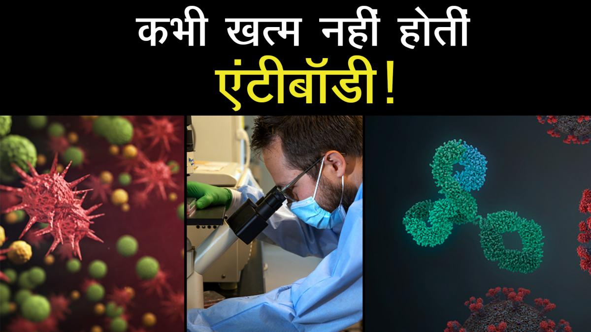 antibodies against COVID-19 