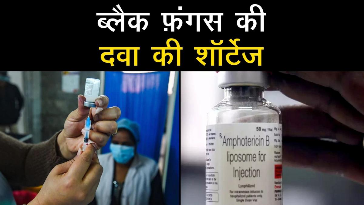 Amphotericin Shortage 