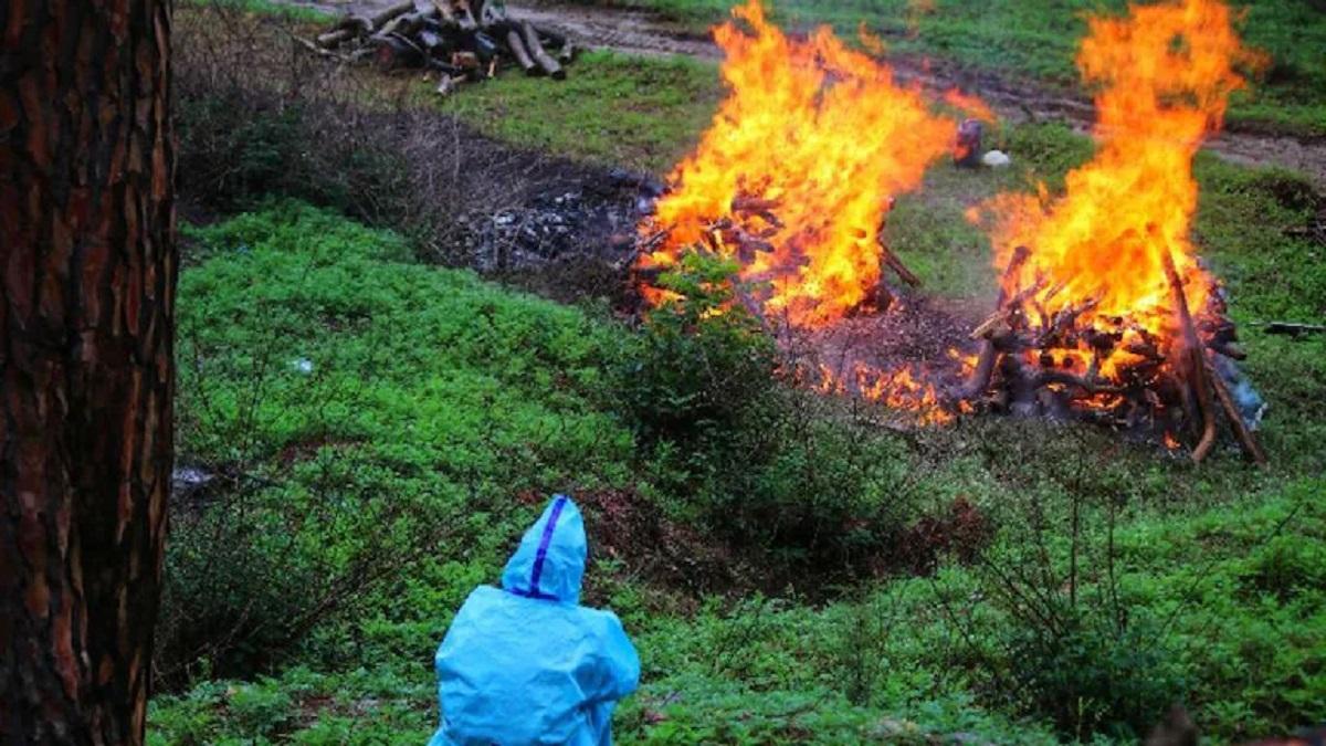 A Covid victim's body being cremated in the forest.
