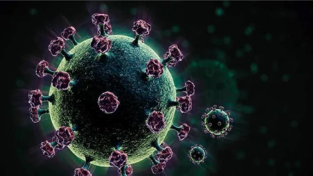 Triple mutant variant: How bad is it?