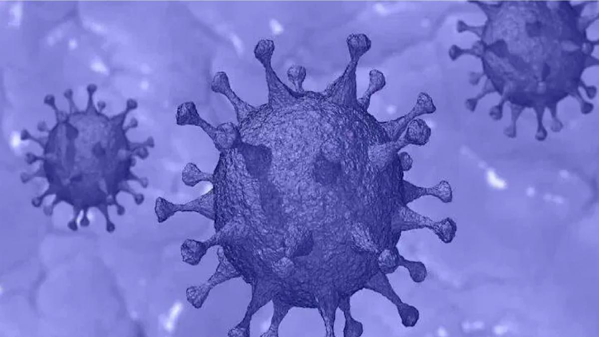Coronavirus