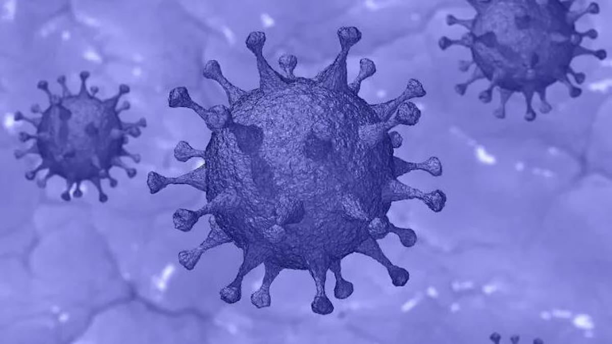 Vaccine-Covid crisis