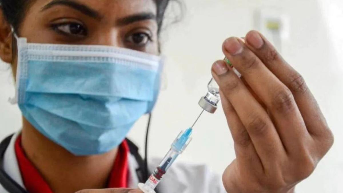 Amphotericin Injection