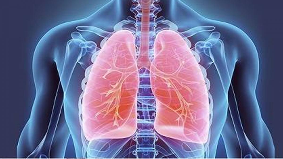 how lungs get affected in covid 19