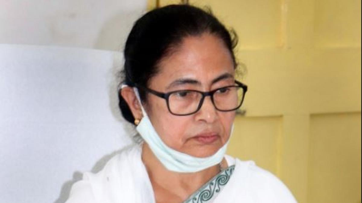 Mamata
