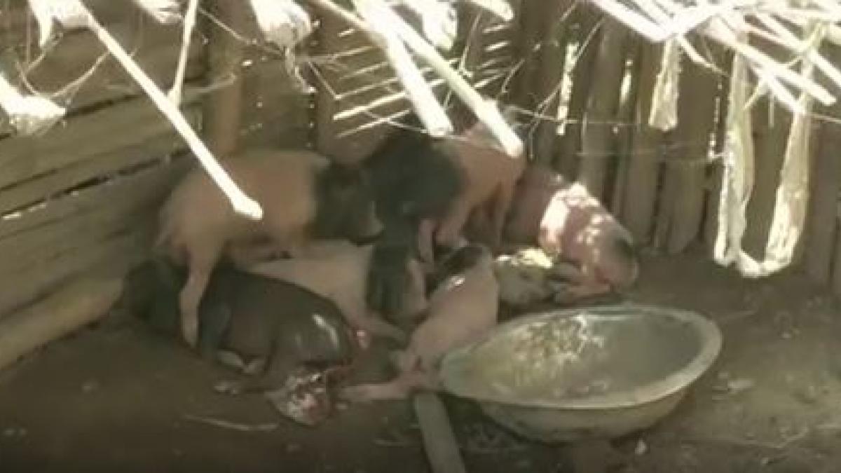 Bihar's Saharsa health care center