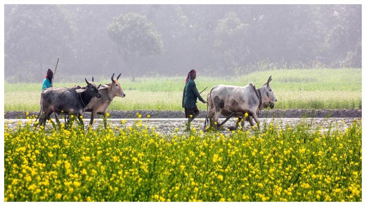 डूबती अर्थव्यवस्था को कृषि ने बचाया