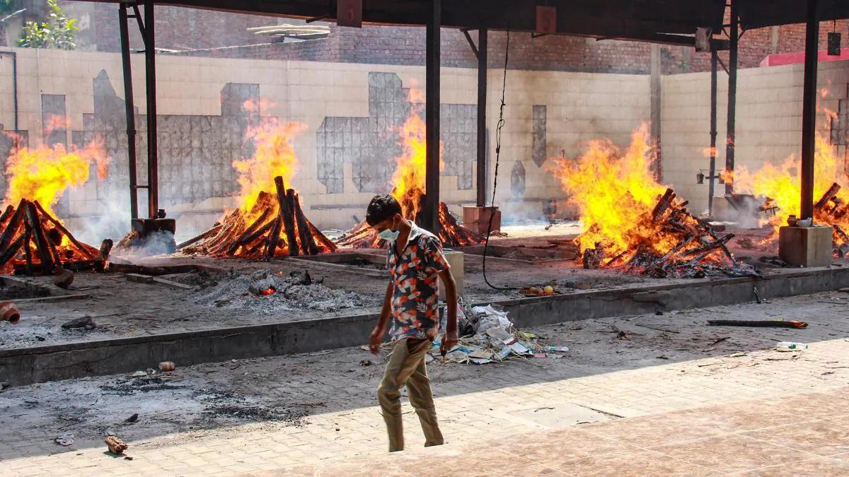 Death toll from Corona in India may be 5 to 7 times higher! 