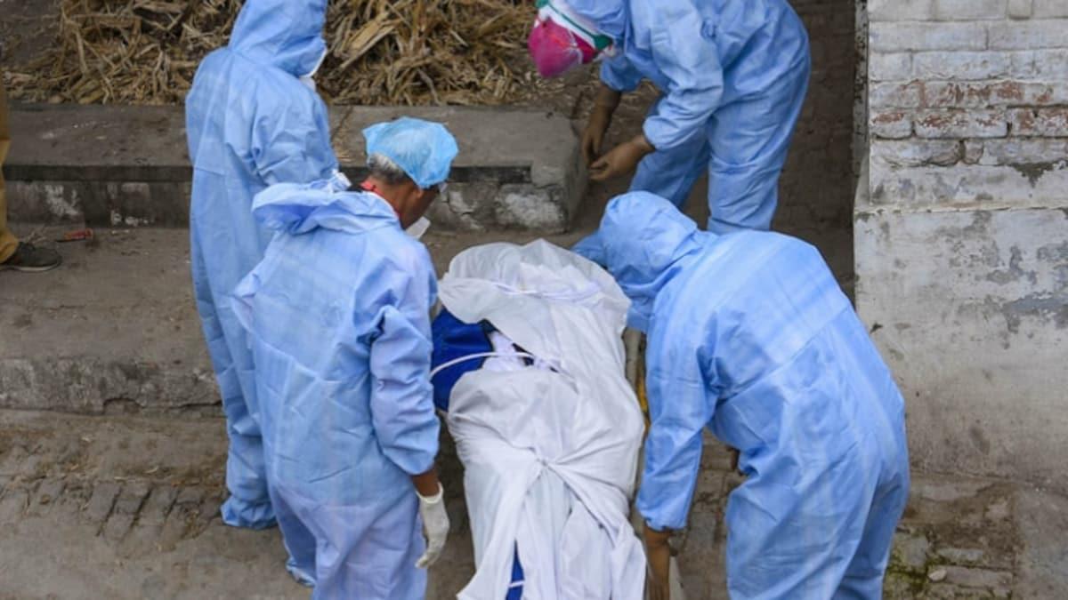 corona death toll data fraud