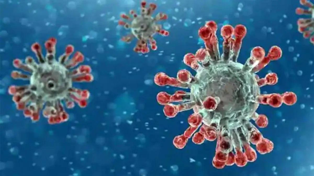 Awareness program needed against Delta +? ministers answers