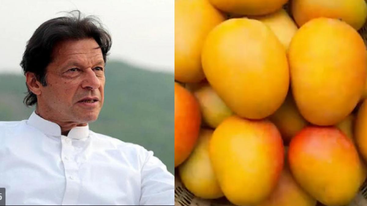 Imran Khan