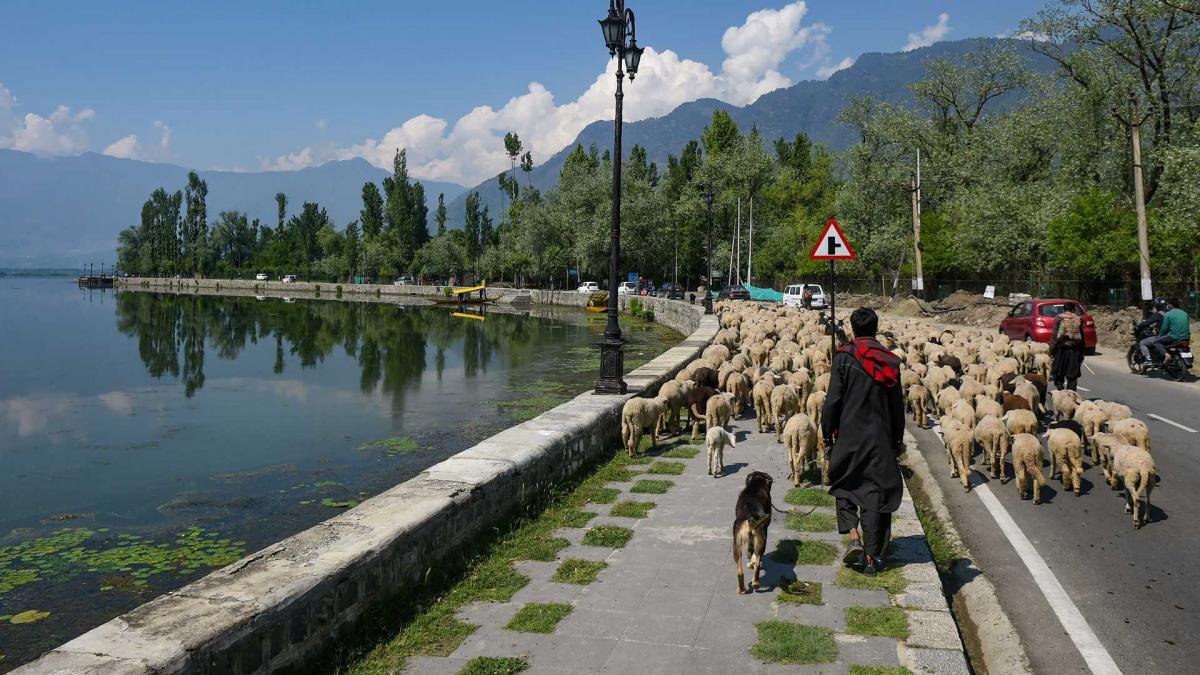 PDP leader on situation in JK