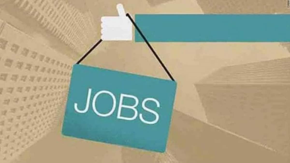 Jobs options in IndusInd Bank & EchoIndia, know details