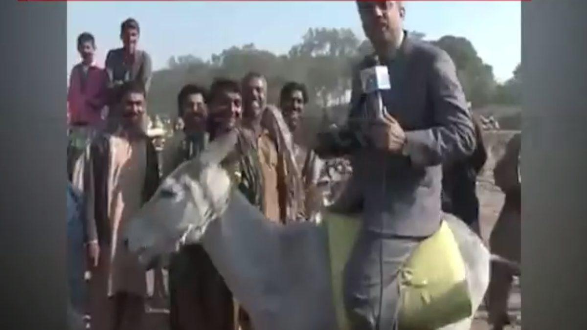 pakistan reporter on donkey aaj tak