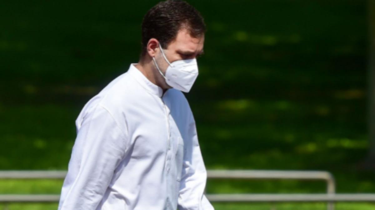 Rahul Gandhi (File-PTI)