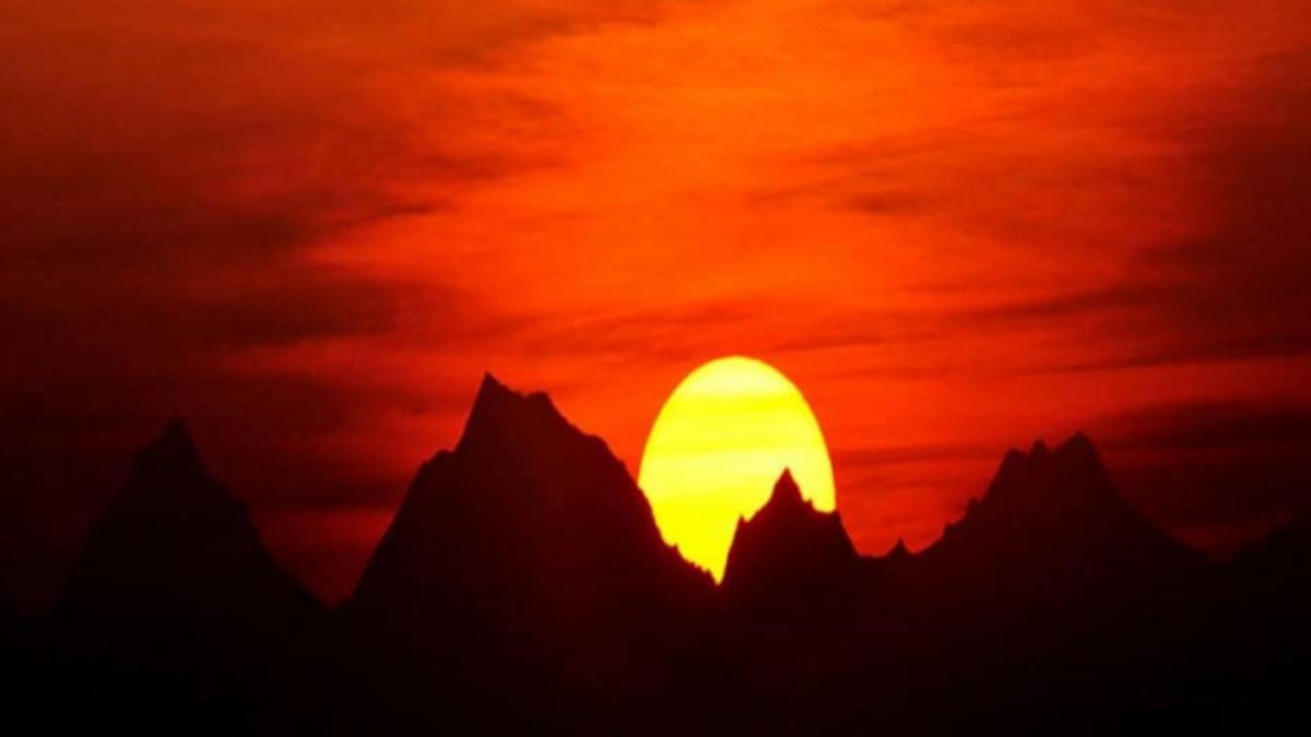 Surya Education astrology