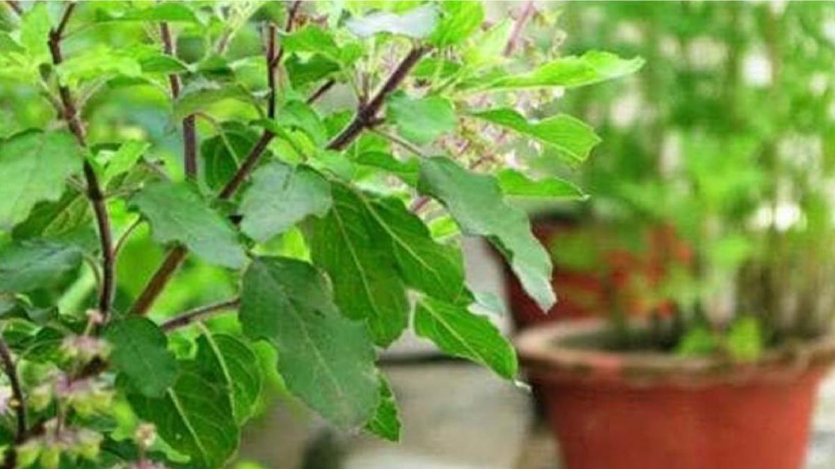 How to get rid of unemployment?