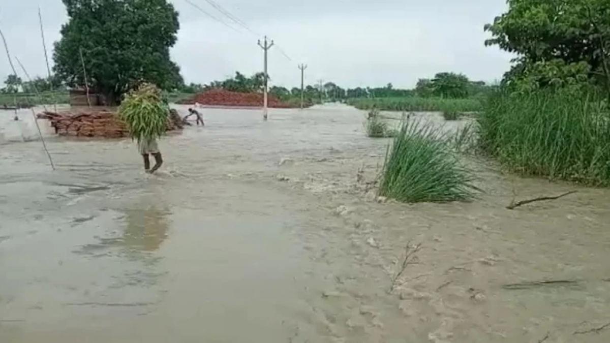 up flood news