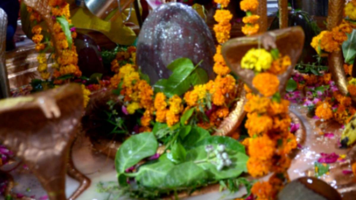 Sawan 2021 Astrology (File-PTI)