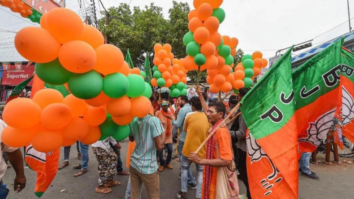 BJP, Zila Panchayat system explained 