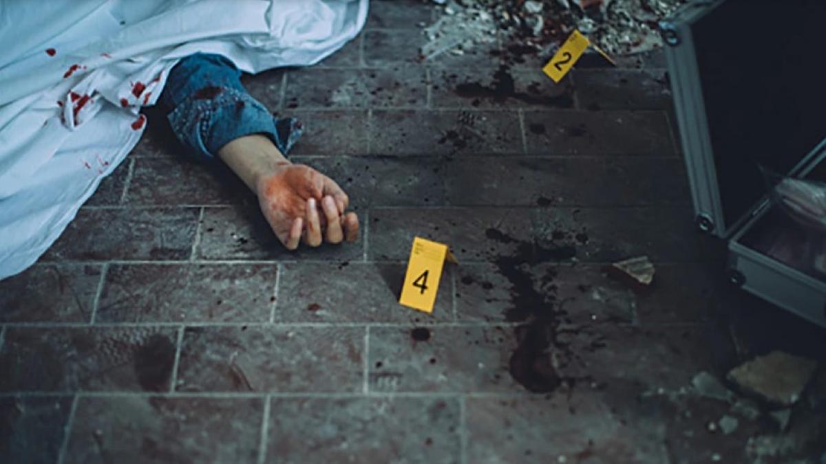 Delhi Crime: On CCTV, Couple Moves Bags with old lady's chopped body allegedly Inside