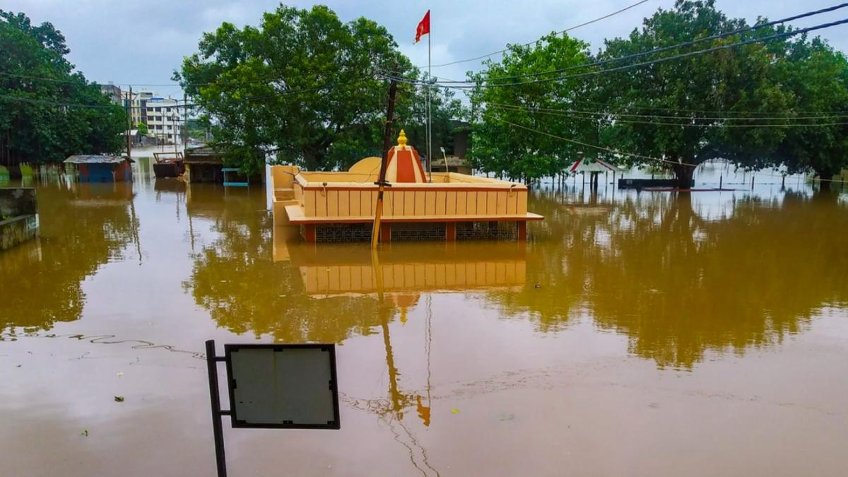 Flood Havoc (File-PTI)