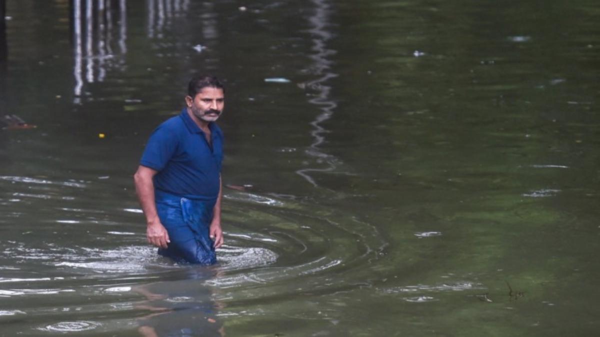Maharashtra: Heavy rains wreak havoc and floods in Akola