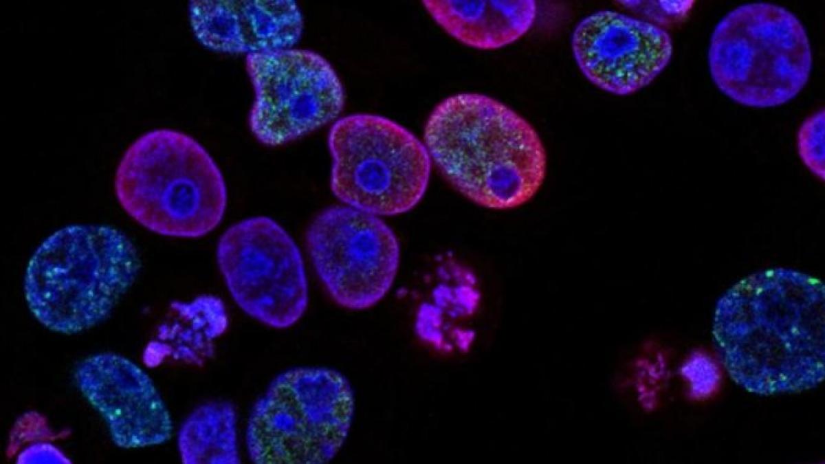 एक अलग तरह की आर्मी तैयार कर रहा चीन