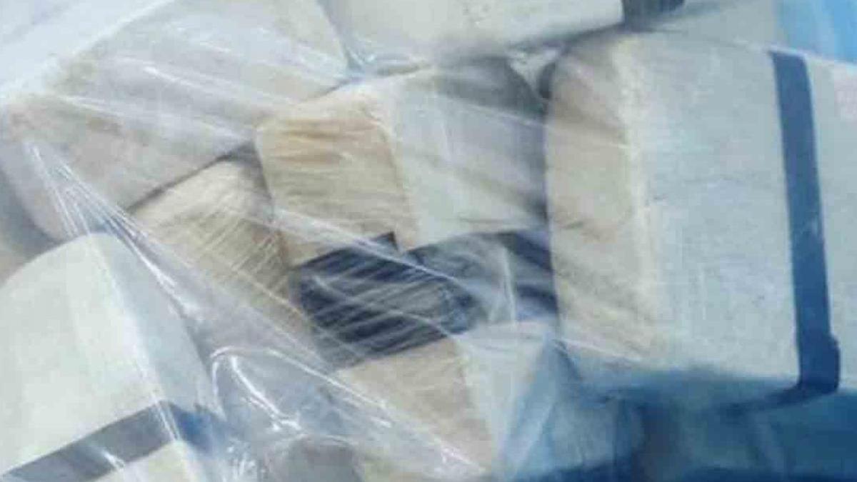 क्या पाकिस्तान रच रहा भारत के खिलाफ 'नार्को टेरेरिज्म' की साजिश? देखें