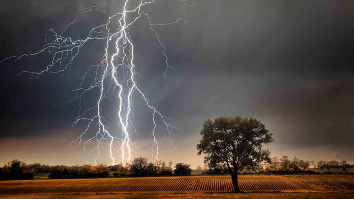 Lightning Strike: यूपी से लेकर राजस्थान तक आसमान से बरसी मौत! 61 की गई जान 