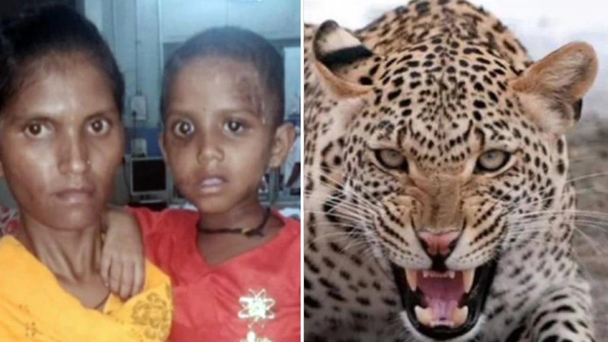 mother fought with leopard to save her child
