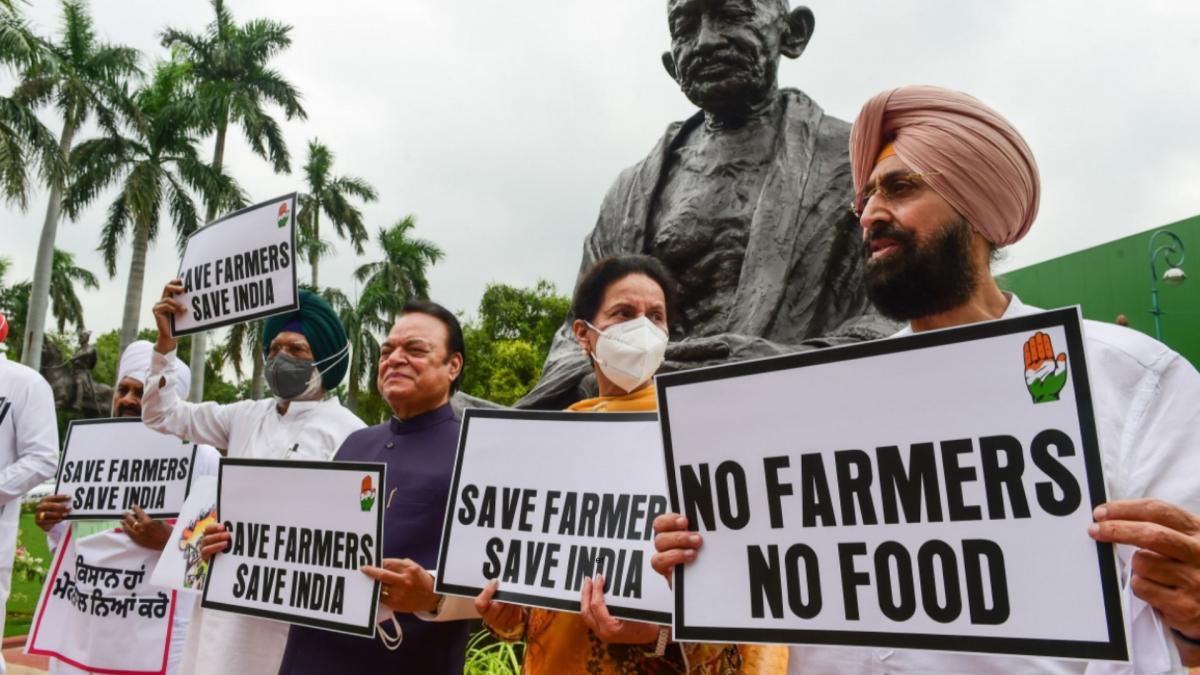 MPs protest against farm laws during Monsoon session of Parliament (File-PTI)