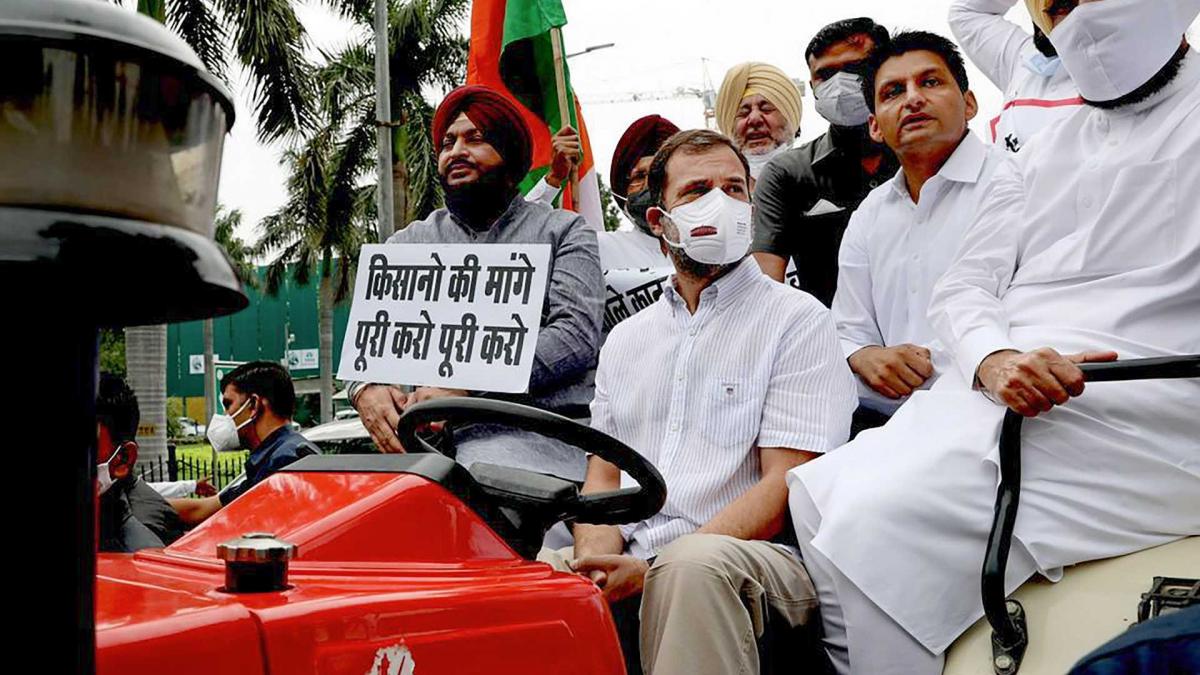 Rahul Gandhi on tractor