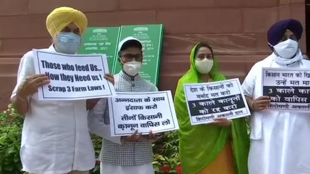 SAD staged protest against farm laws (Photo-ANI)