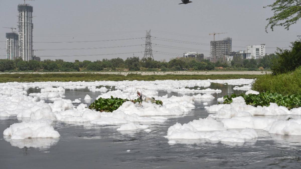 Pollution in Yamuna