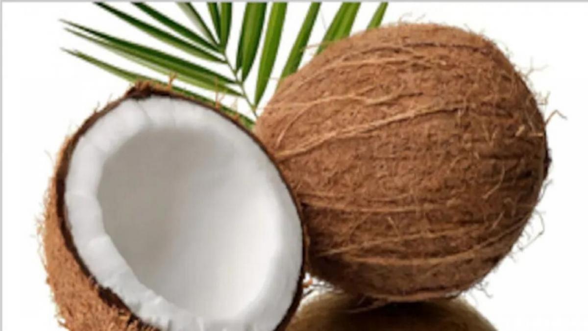 Astrology Tips to use coconut for wealth benefits