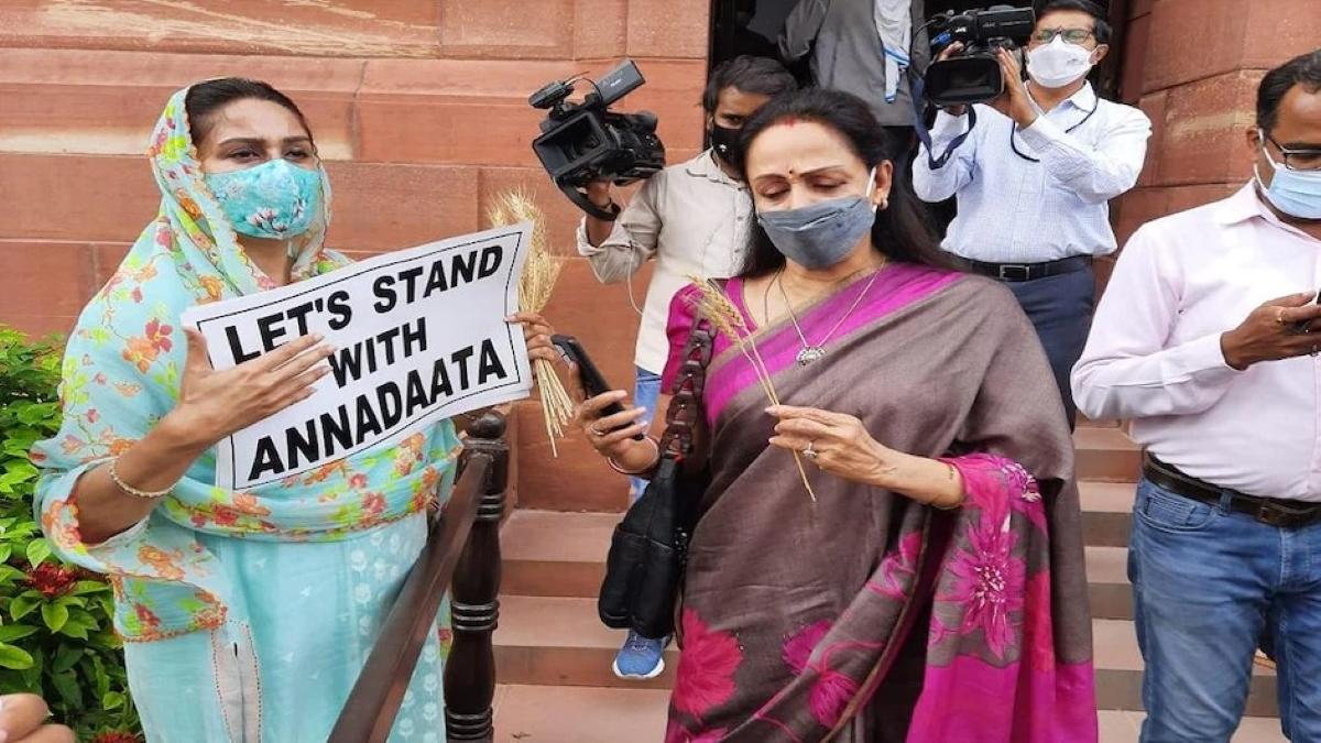 Harsimrat Kaur offers wheat stalk to Hema Malini outside Parliament
