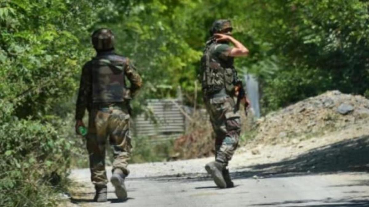 Bandipora encounter