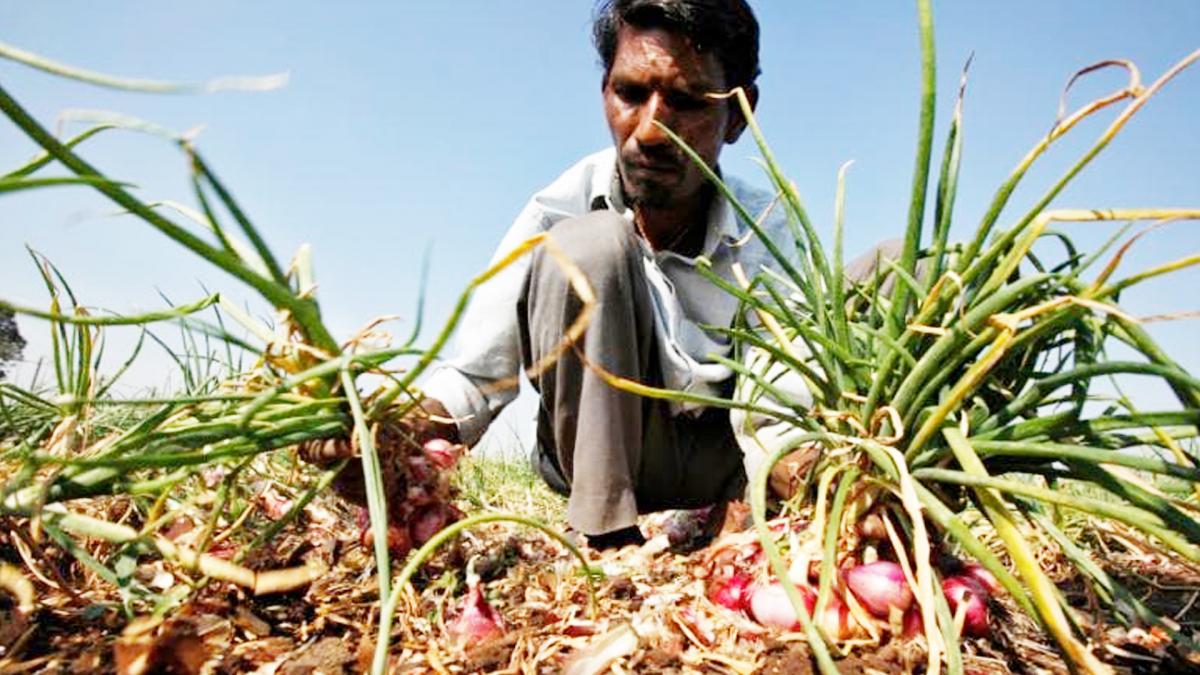 Maharashtra Farmers