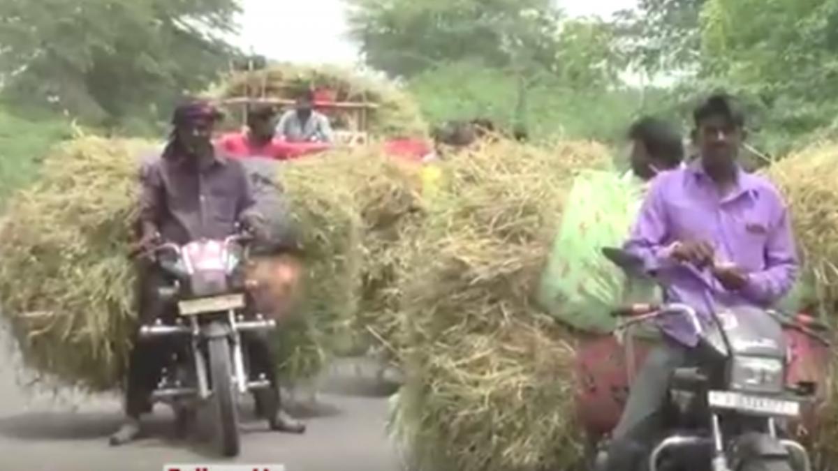 monsoon in gujarat updates
