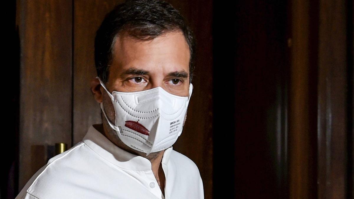 Congress Leader Rahul Gandhi