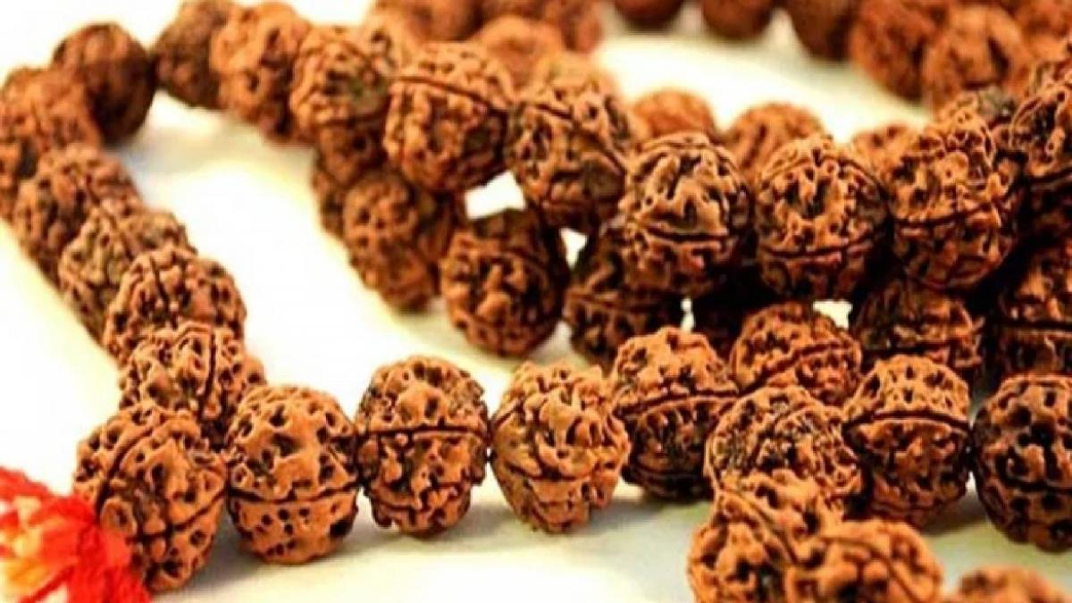 Rudraksha 